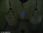 Luminol Luminol