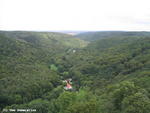 Blick ins Selketal Blick ins Selketal
