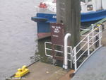 The Door zur Welt