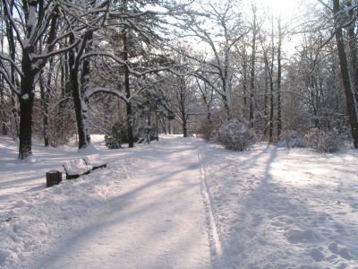 Winter in Chemnitz Winter in Chemnitz