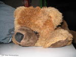 Teddy Teddy