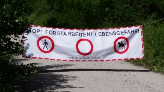 Im Wald da ists gefährlich