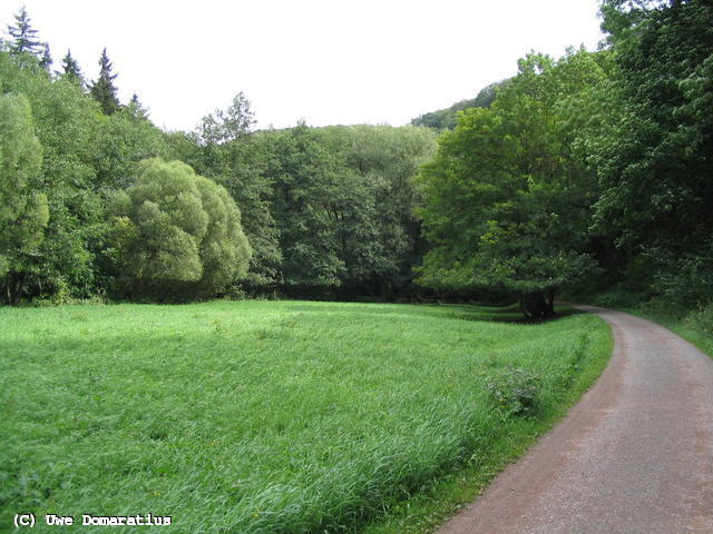 640x480/20.jpg