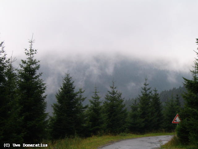 640x480/07.jpg