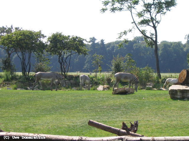 640x480/11.jpg