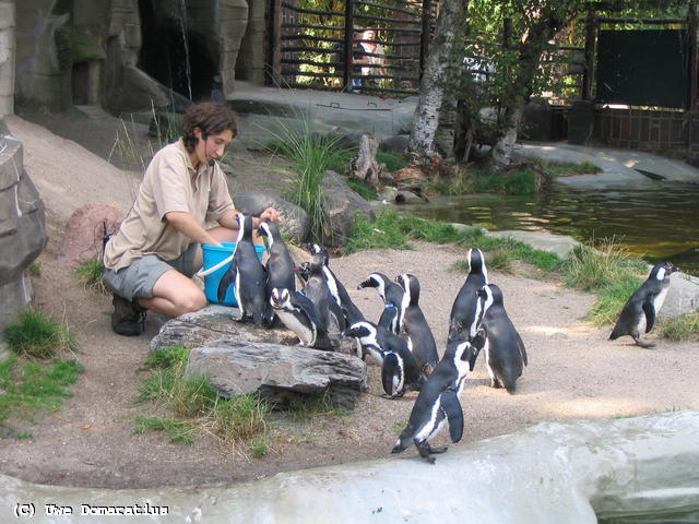 640x480/27.jpg