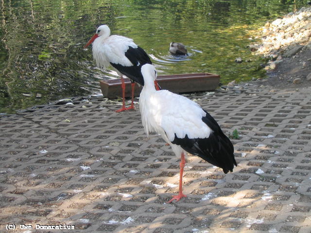 640x480/30.jpg
