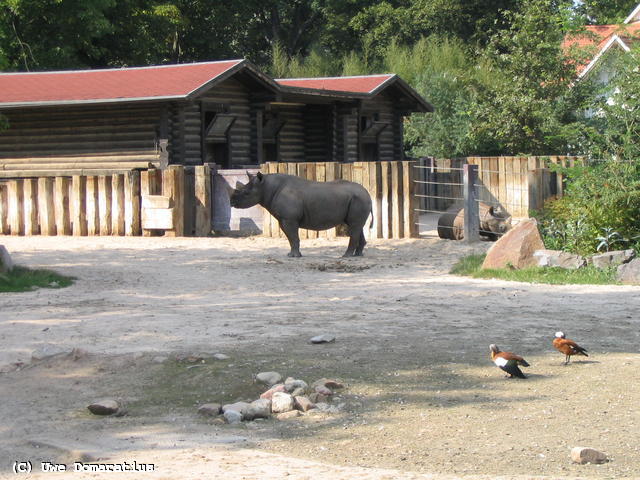 640x480/32.jpg