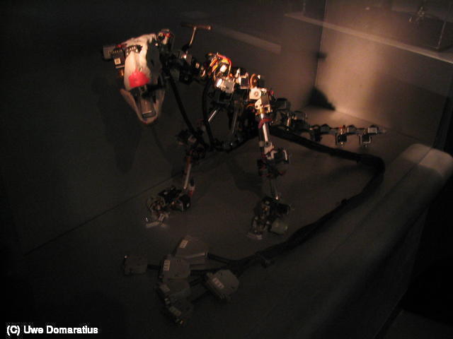 640x480/14.jpg
