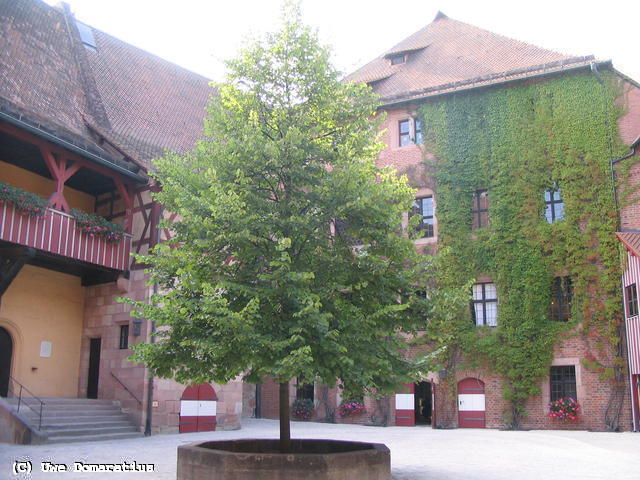 640x480/31.jpg