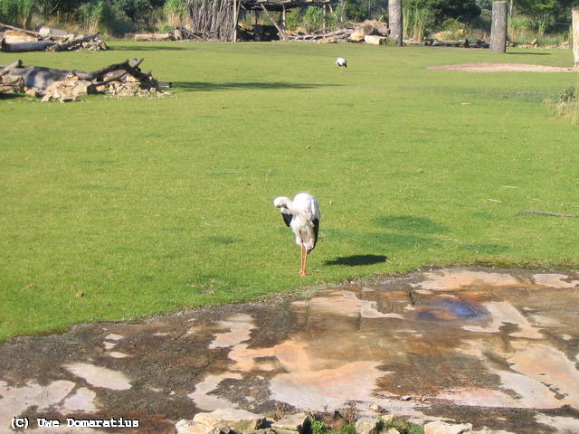 640x480/06.jpg