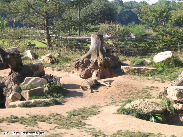 640x480/09.jpg