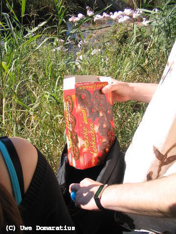 640x480/15.jpg