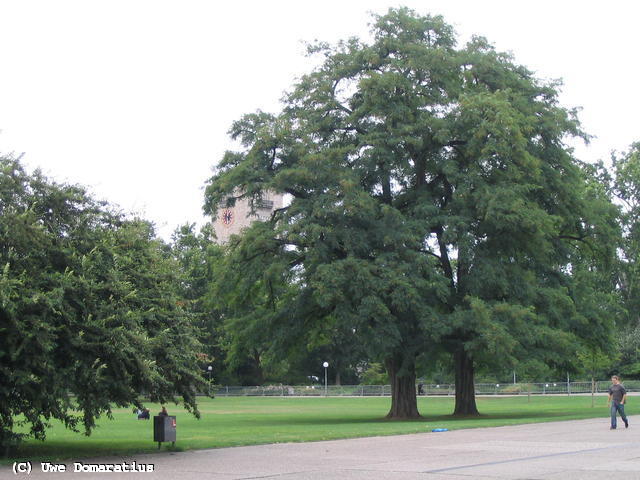 640x480/40.jpg