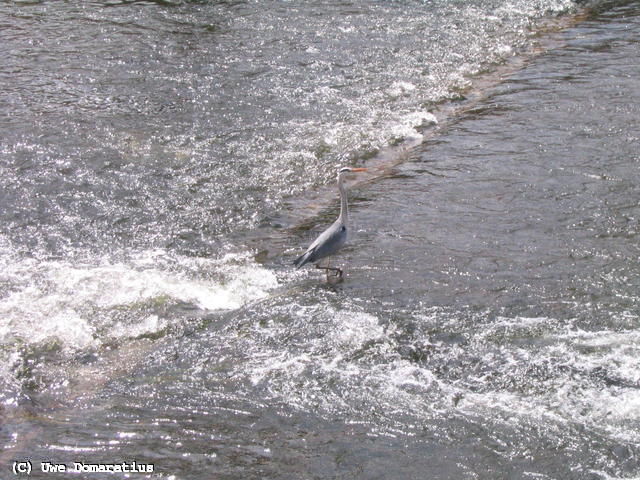 640x480/03.jpg
