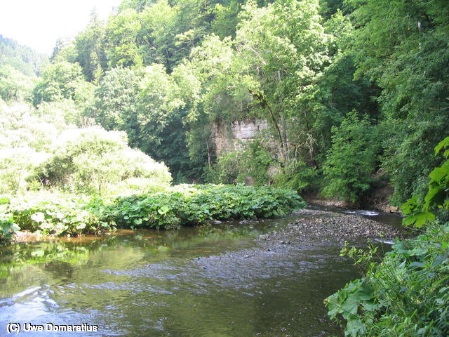 640x480/14.jpg