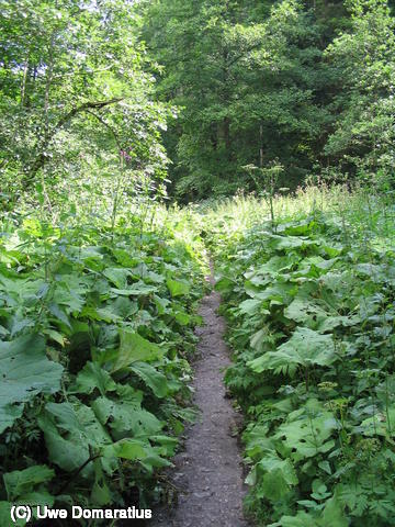 640x480/17.jpg