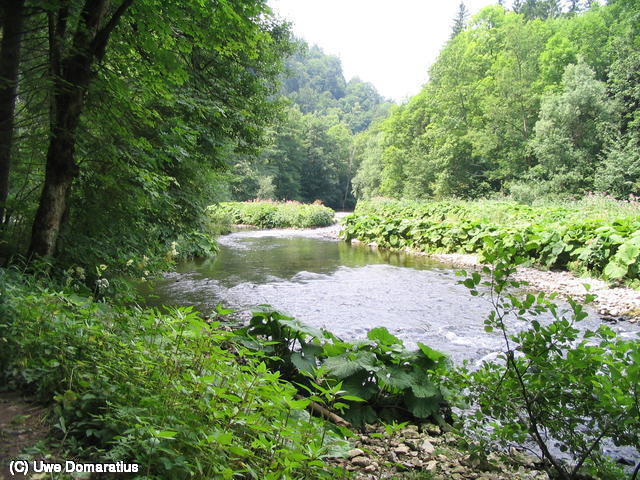 640x480/18.jpg