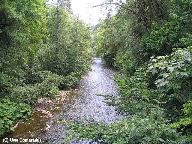 640x480/20.jpg