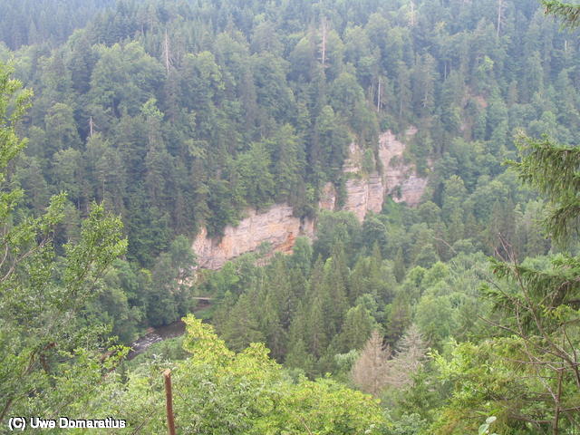 640x480/21.jpg