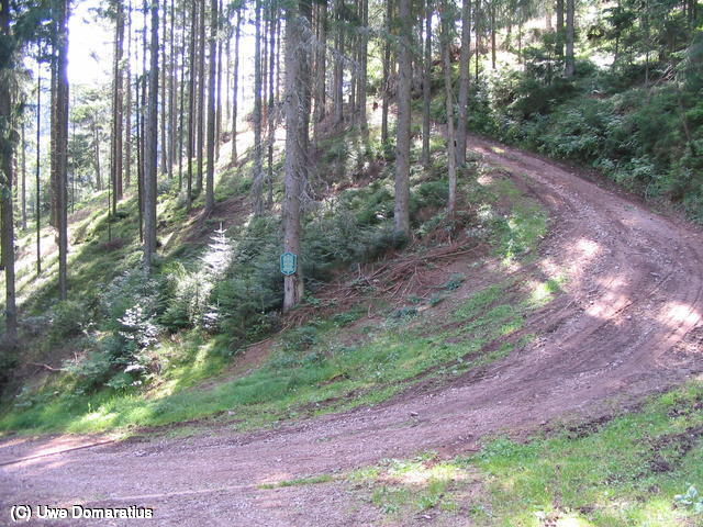 640x480/23.jpg