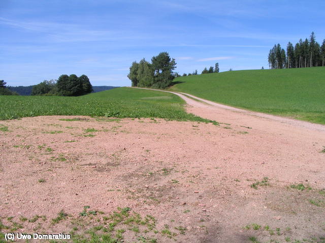 640x480/31.jpg