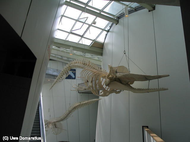 640x480/05.jpg