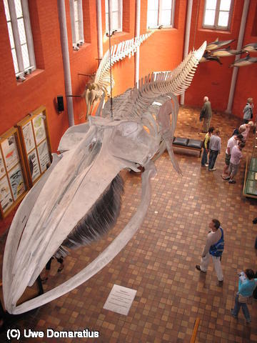 640x480/13.jpg