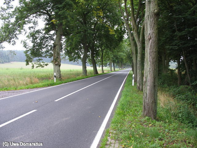 640x480/01.jpg