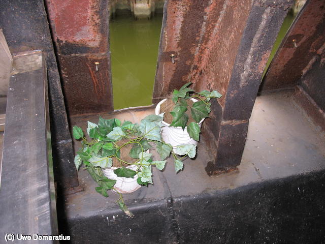 640x480/40.jpg
