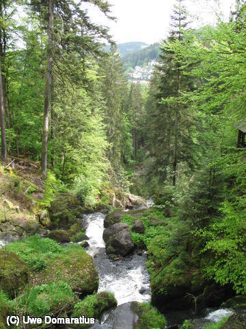 640x480/09.jpg
