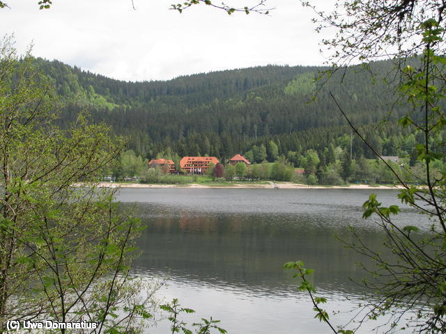 640x480/08.jpg