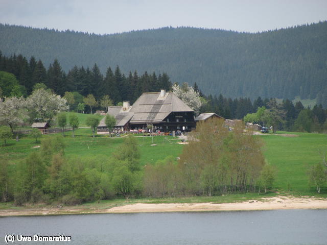 640x480/15.jpg