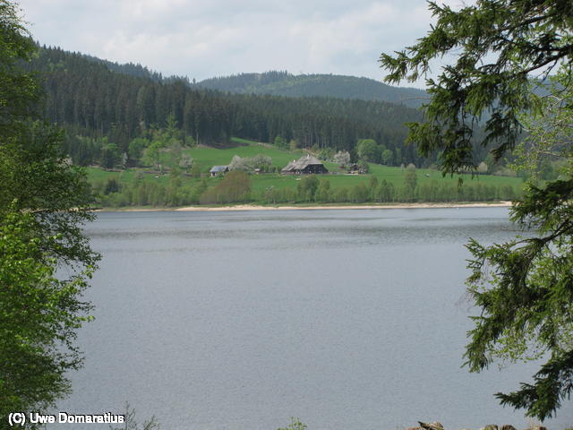 640x480/19.jpg