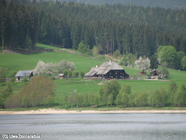 640x480/20.jpg