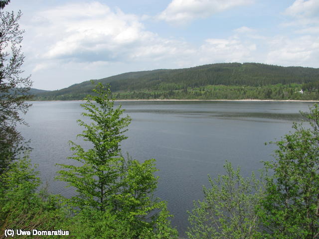 640x480/22.jpg