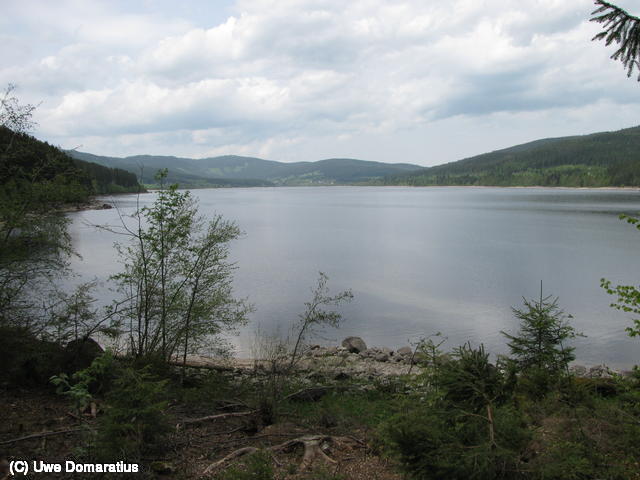 640x480/24.jpg