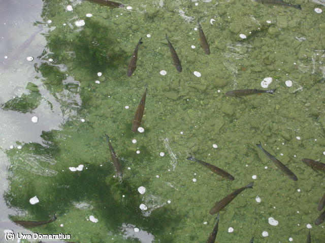 640x480/21.jpg