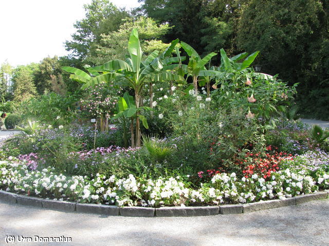 640x480/09.jpg