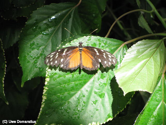 640x480/11.jpg