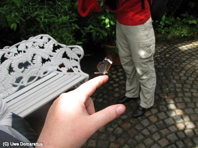 640x480/14.jpg