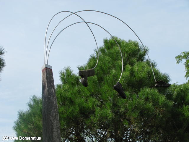 640x480/18.jpg