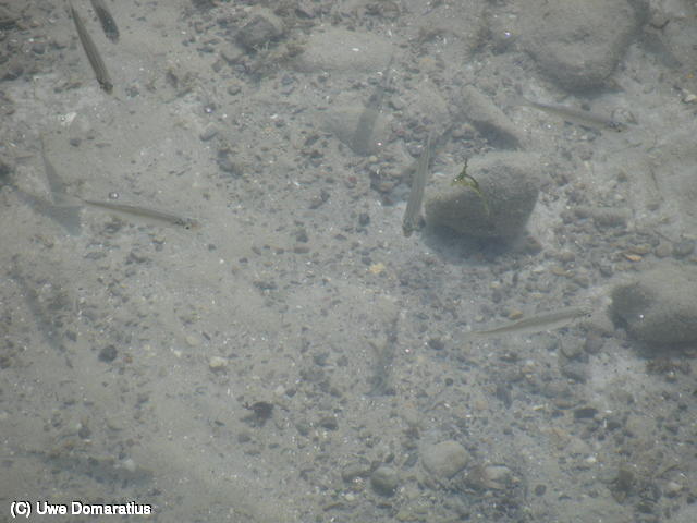 640x480/52.jpg