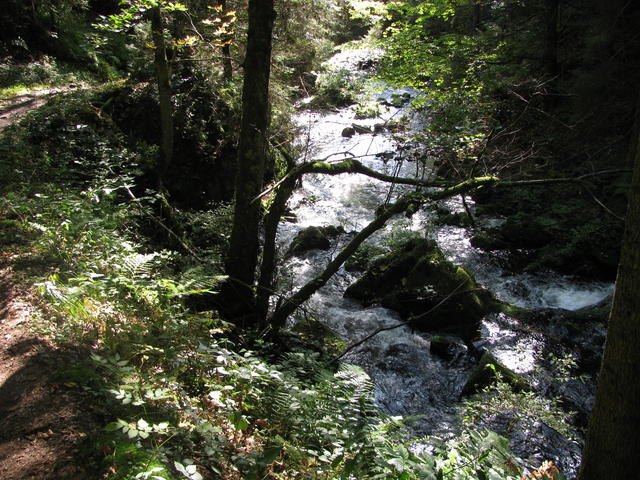 640x480/01.jpg