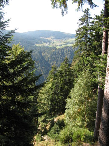 640x480/04.jpg