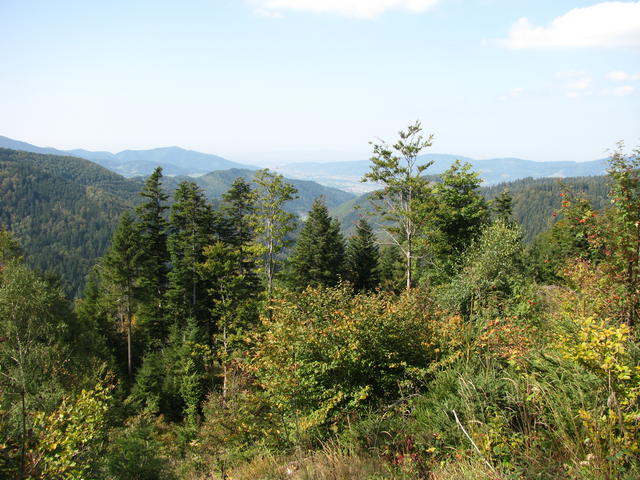 640x480/24.jpg