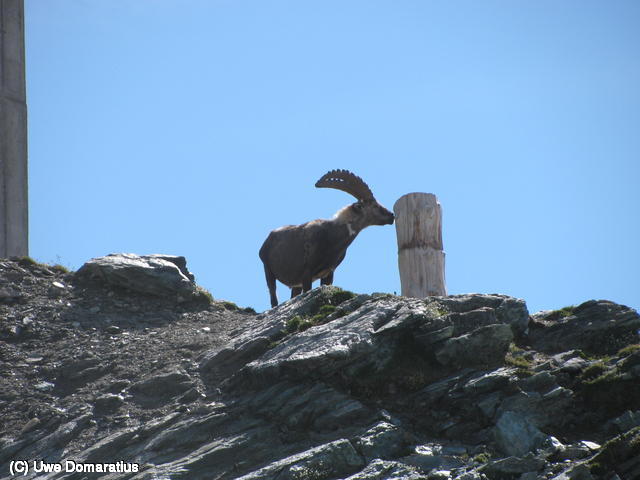 640x480/09.jpg