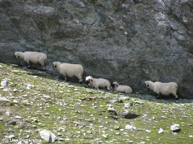 640x480/23.jpg
