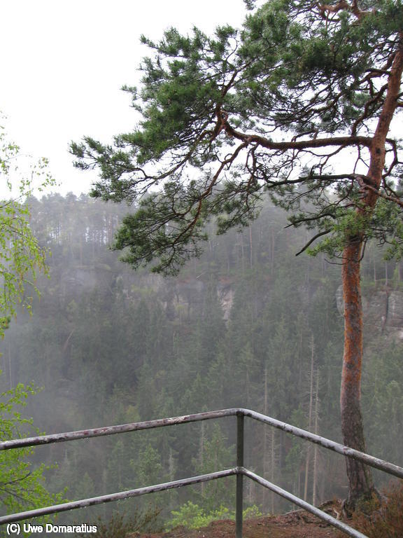 1024x768/02.jpg
