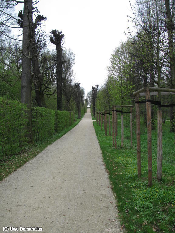 1024x768/29.jpg